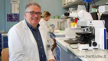 Trapianto e terapie per il mieloma multiplo, da uno studio del Policlinico di Bari nuove prospettive di cura - BariToday