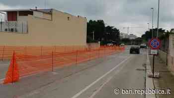 Bari, nella strada in cui fu investita la 18enne Giorgia al via i lavori per ridurre la velocità delle auto - La Repubblica