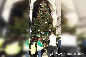 Kerstbomen worden voorzien van chemisch goedje zodat vandalen niet hun slag kunnen slaan: “Onmogelijk om ze in brand te steken”