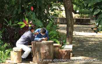Jardín Etnobotánico reabre sus puertas al público - El Sol de Cuernavaca