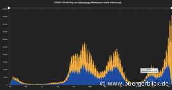 Ohne Befreiungsschlag wird Deutschland bald 100.000 Corona-Tote schreiben - Meinung - Bürgerblick Passau