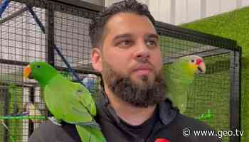 British-Pakistani man pivots from aerospace engineering to raising, selling birds - Geo News