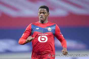 🎥 Twee goals van Jonathan David onvoldoende om Lille de zege te geven