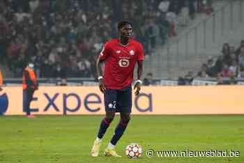 Amadou Onana klopt bij Lille op de deur van de Rode Duivels: met dank aan zijn grote zus - Het Nieuwsblad