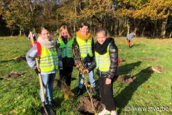 Lilse schoolkinderen planten 1.350 nieuwe bomen (Lille) - Gazet van Antwerpen Mobile - Gazet van Antwerpen