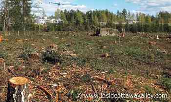 Carleton Place adopts long-awaited clear-cutting bylaw - Ottawa Valley News