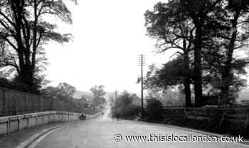 A rural scene of Chingford, East London, pictured a century ago