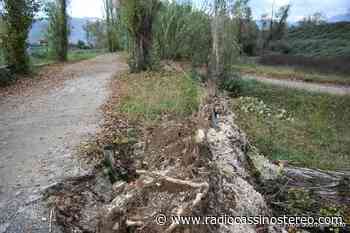 Cassino/Formia – Due alberi si abbattono sulla pista ciclabile e su un chiosco. Tragedia evitata - RadioCassinoStereo