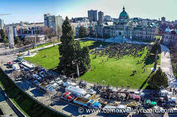 Pro-forestry rally in Victoria postponed due to province-wide flooding – Comox Valley Record - Comox Valley Record