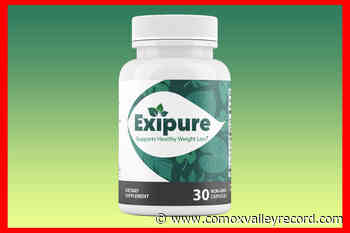 Exipure Reviews: Where to Buy? Avoid Dangerous Scam Threats - Comox Valley Record