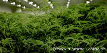 Euskirchen: Freispruch im Drogenplantagen-Prozess - Kölnische Rundschau