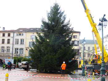 Le sapin de Noël installé mercredi prochain à Epinal - Epinal infos - Epinal Infos