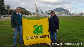 Anche Palermo celebra la Festa dell'albero: piantato un mandorlo sul prato del Foro Italico - PalermoToday