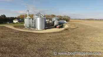 This Week in Agribusiness, Nov. 20, 2021
