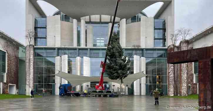 Weihnachtsbaum aus Thürigen vor Kanzleramt aufgestellt
