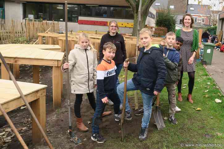 Groene avontuurlijke speelplaats geen droom meer maar realiteit in Ter Linde
