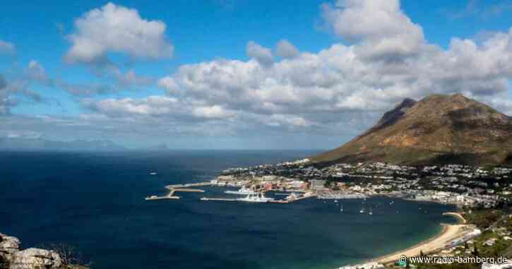 Südafrika: Mehr als 6100 Morde in drei Monaten