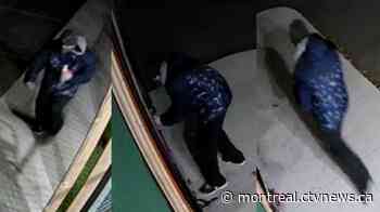 Surveillance footage captures suspect in Laval daycare arson attack - CTV News Montreal