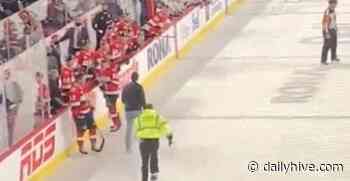 Fan runs onto ice at Laval Rocket AHL game (VIDEO) | Offside - Daily Hive