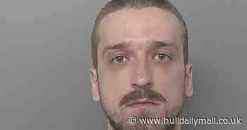 Hull man desperate for work recruited as cannabis gardener outside Tesco - Hull Daily Mail