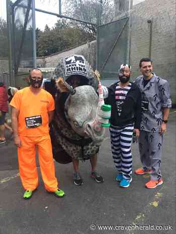 'Rhino Boy' Chris goes inside for the Green Mile Marathon - Craven Herald