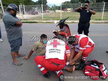 En Tekax, motociclista derrapa tras arrollar a un perrito - El Diario de Yucatán