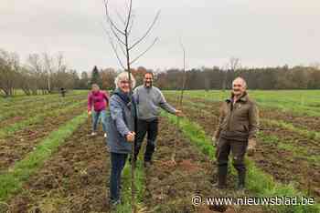 Natuurpunt plant 550 bomen op Smalle Broeken