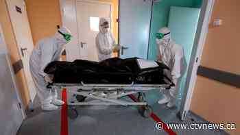 Coronavirus: Russia's record death toll persists - CTV News