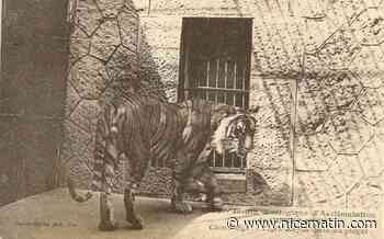 On vous raconte l'histoire digne d'un roman policier du zoo de Nice