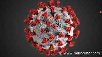 BC sees 497 new cases of COVID-19 – Nelson Star - Nelson Star