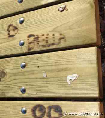 Soliera, già imbrattati con scritte e disegni i nuovi tavoli posizionati nei parchi - SulPanaro | News - SulPanaro