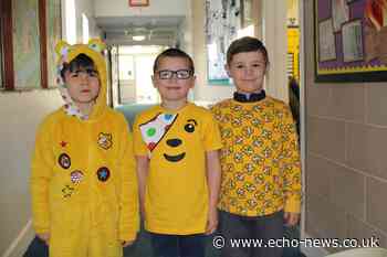 Children in Need at Basildon, Southend and Benfleet schools | Echo - Echo
