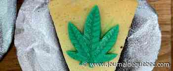 Condamnée pour avoir offert des gâteaux au pot à l'insu de ses collègues militaires