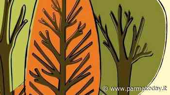 Covid, al Campus dell’Università di Parma nasce il Bosco del “Ringraziamento” - ParmaToday