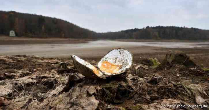 Für Sanierung: Stausee in Unterfranken nun leer