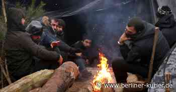 Sie warfen mit Steinen, nutzten Tränengas: 200 Migranten versuchen Grenzdurchbruch zwischen Polen und Belarus - Berliner Kurier