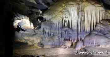 Ad Alonte (VI) c'è la 'Grotta dei Mulini', un paradiso dei fossili - TGR Veneto - TGR – Rai