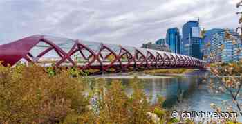 23 things to do in Calgary this weekend: November 19 to 21 | Listed - Daily Hive