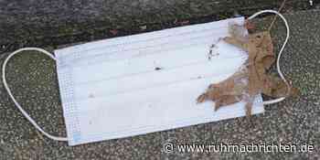 Drei Neuinfektionen in Ascheberg zu Freitag | Ascheberg - Ruhr Nachrichten