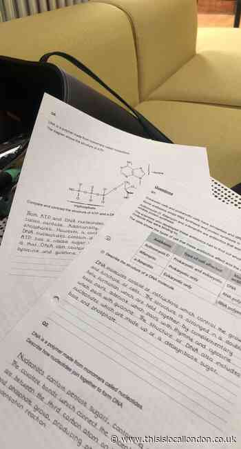 From a student's perspective