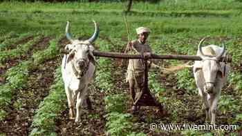 Sourcing plans of FMCG cos may be hit - Livemint