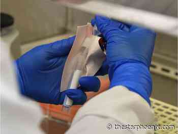 COVID-19: 185 new cases, two deaths reported Saturday