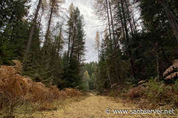 Shuswap Trail Alliance announces new, improved website for finding area trails – Salmon Arm Observer - Salmon Arm Observer