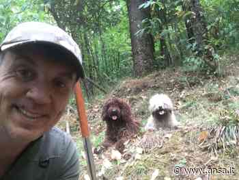 Per Unesco tartufo patrimonio umanità,in Sicilia tutto fermo - Agenzia ANSA