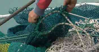Gli aiuti per il fermo pesca attesi per Natale - TGR Molise - TGR – Rai