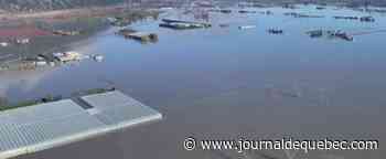 Colombie-Britannique: la catastrophe naturelle la plus coûteuse au Canada