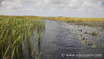 Army Corps Completes Reservoir for Everglades Restoration
