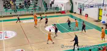 Bramante Pesaro, coach Nicolini ''A Foligno gara delicata. Vogliamo arrivare pronti'' - Serie C Gold Girone Unico - Basketmarche.it