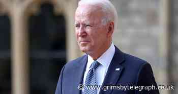 Pardoned turkeys will get 'boosted, not basted', says Biden - Grimsby Live - Grimsby Live