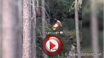 Man who allegedly set fire to Glenrosa forest faces trial next August - West Kelowna News - Castanet.net